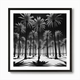 Palm Trees Art Print