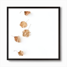 Autumn Leaves On White Background Art Print