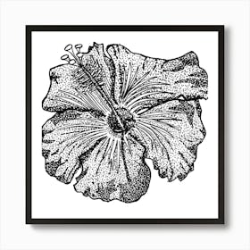 Hibiscus Flower Art Print