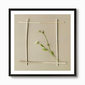 Frame For A Flower Botanical Photography Art Print