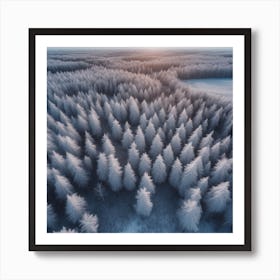 Aerial Photography Of A Winter Forest 1 Art Print