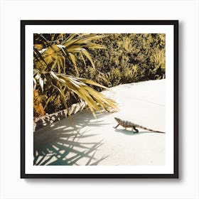 Mexico Resort Iguana Square Art Print