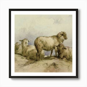 Sheeps 1 Art Print