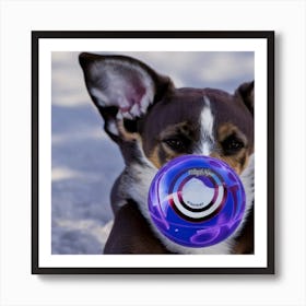 Dog Playing With A Toy Art Print