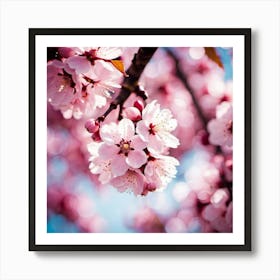 Cherry Blossoms 4 Art Print