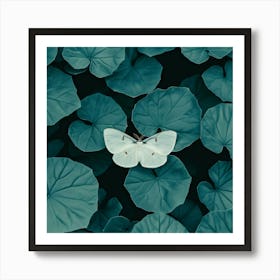 Butterfly On A Leaf Art Print