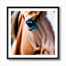 Close Up Of A Horse'S Eye 10 Art Print