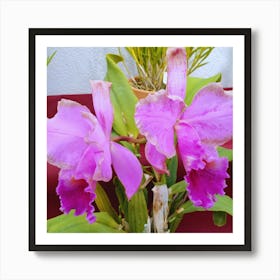 Orchids 40 Art Print