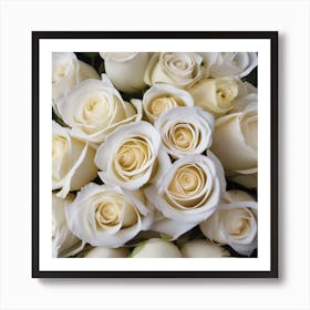 White Roses Art Print