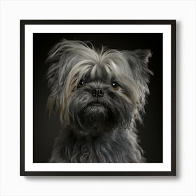 Portrait Of A Dog 16 Art Print