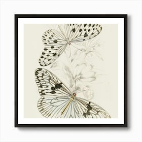 Butterflies And Flowers Art Print