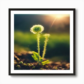 Dandelion 1 Art Print