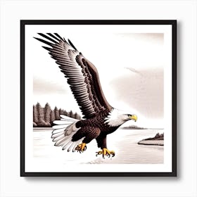 Bald Eagle 5 Art Print