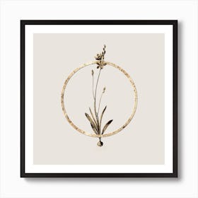 Gold Ring Mossel Bay Tritonia Glitter Botanical Illustration n.0350 Art Print