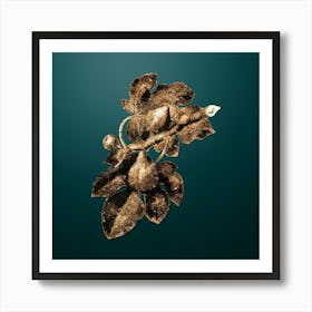 Gold Botanical Fig on Dark Teal n.0245 Art Print