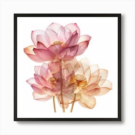 Lotus2 Art Print