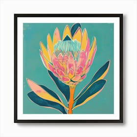 Protea 3 Square Flower Illustration Art Print