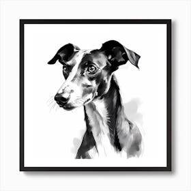 Black and White Greyhound drawing 1 Art Print