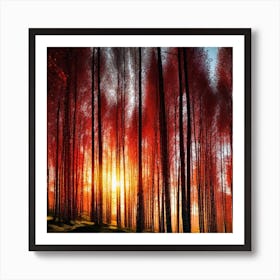 Sunset In The Forest 48 Art Print