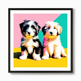 'Bearded Collie Pups' , This Contemporary art brings POP Art and Flat Vector Art Together, Colorful, Home Decor, Kids Room Decor, Animal Art, Puppy Bank - 32nd Art Print