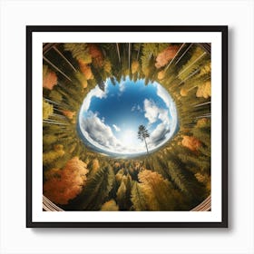 Circular View Of Autumn Forest Art Print