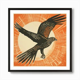 Retro Bird Lithograph Eurasian Sparrowhawk 1 Art Print