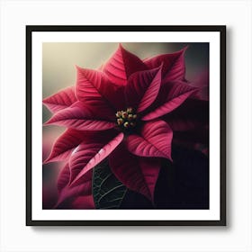 Poinsettia Art Print