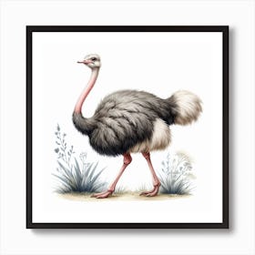 Ostrich 3 Art Print