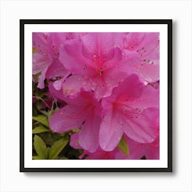 Azaleas 1 Art Print