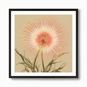 Chrysanthemum 4 Poster