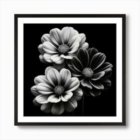 Black and white flowers Art Print