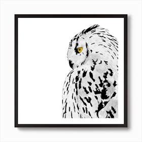 Snowy Owl White Square Art Print