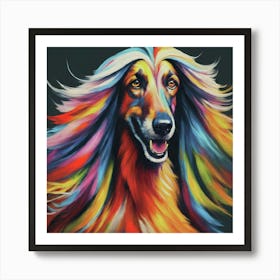 Afghan Hound 3 Art Print