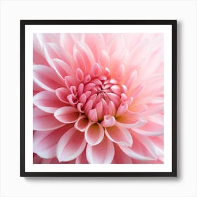 Pink Dahlia Flower Art Print