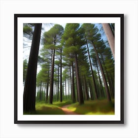 Pine Forest Art Print