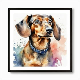 Dachshund Art Print