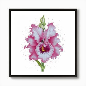 Pink Orchid Art Print