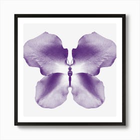 Purple Rose Petal Butterfly Poster