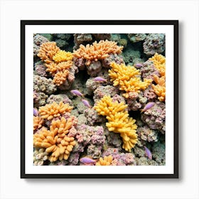 Coral Reef In The Red Sea4 Art Print