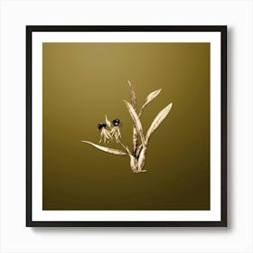 Gold Botanical Clamshell Orchid on Dune Yellow n.1786 Art Print