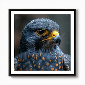 Falcon 3 Art Print