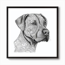 Doberman Pinscher Art Print