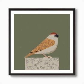 Sparrow Art Print