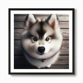 Husky Dog Art Print