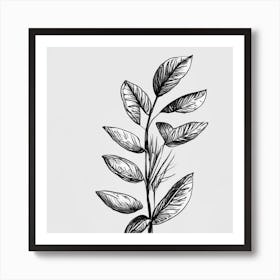 Leaf On A Branch Art Print