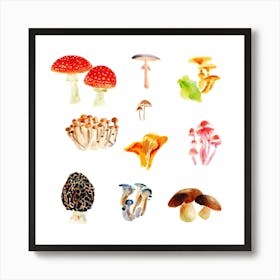 Watercolor Mushrooms Art Print