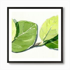 Green Leaves On A Branch Art Print