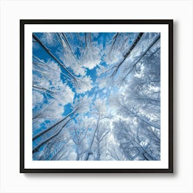 Snowy Trees In Winter 1 Art Print