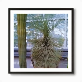 Cactus In The Garden Art Print