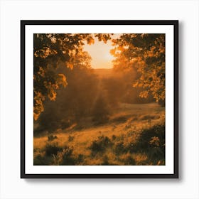 Sunset In The Woods Art Print